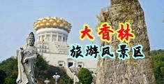 男的大鸡巴插进女的小骚逼里面的视频中国浙江-绍兴大香林旅游风景区